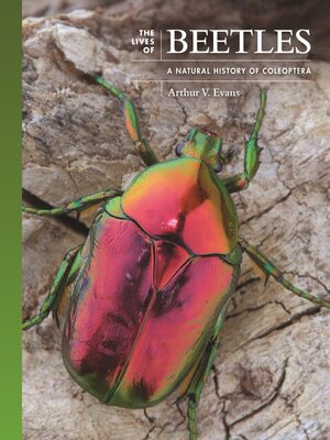 cover image of The Lives of Beetles